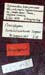 Conophyma_turkestanicum_labels_1243