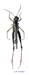 Heteracris_adspersa_m_1163