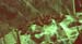 Ognevia_longipennis_ns_89_03a