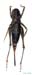 Eulithoxenus_mongolicus_f_0999