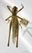Gampsocleis_glabra_m_0061