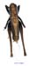 Eobiana_japonica_m_1042